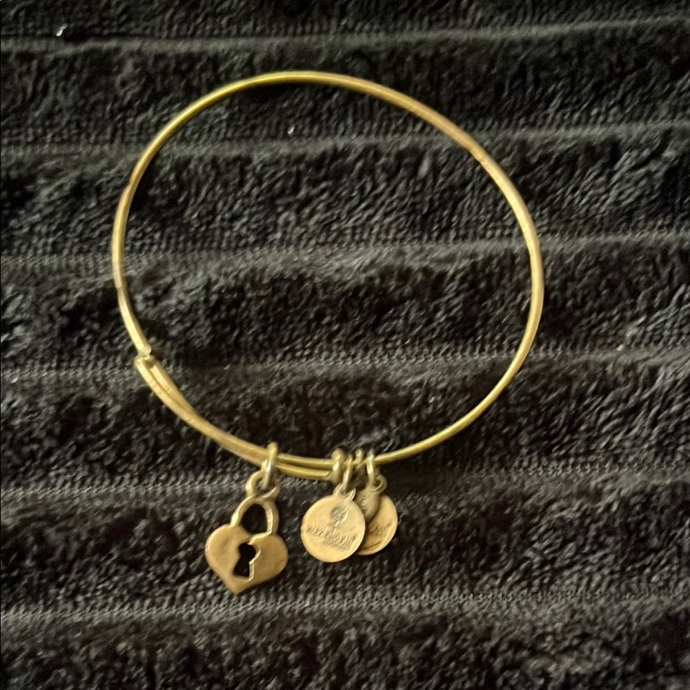 Alex and Ani Gold Adjustable Bangle Bracelet